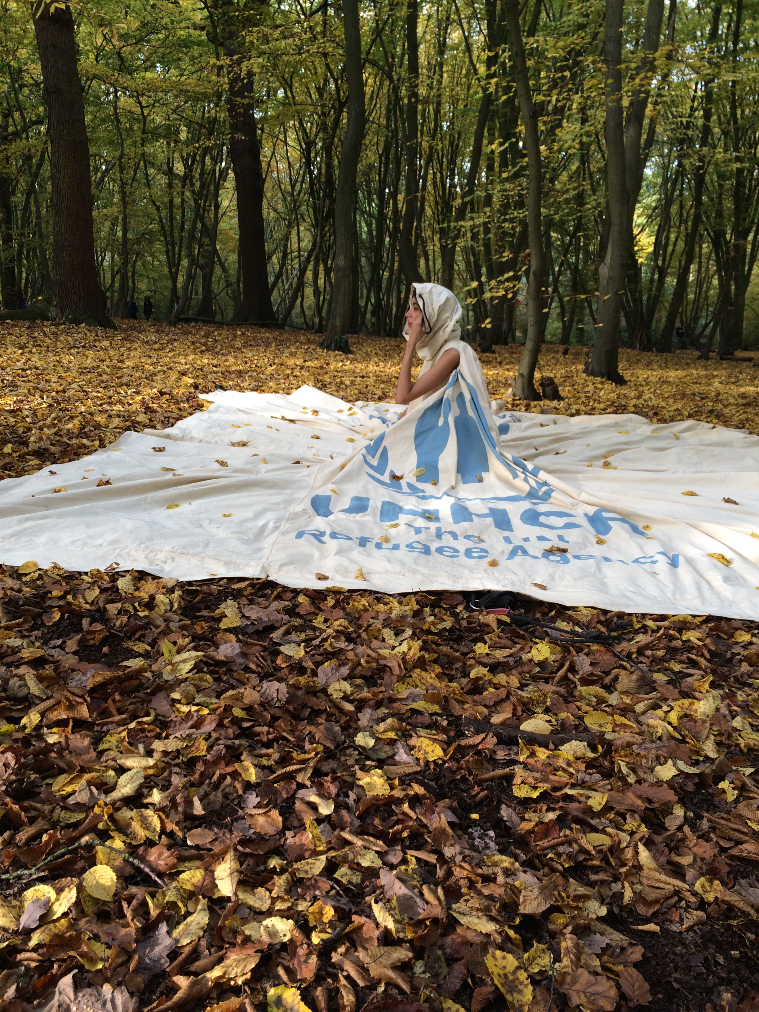 Dress in Cold Fall Woods